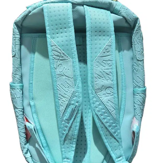 SPRAYGROUND PVC