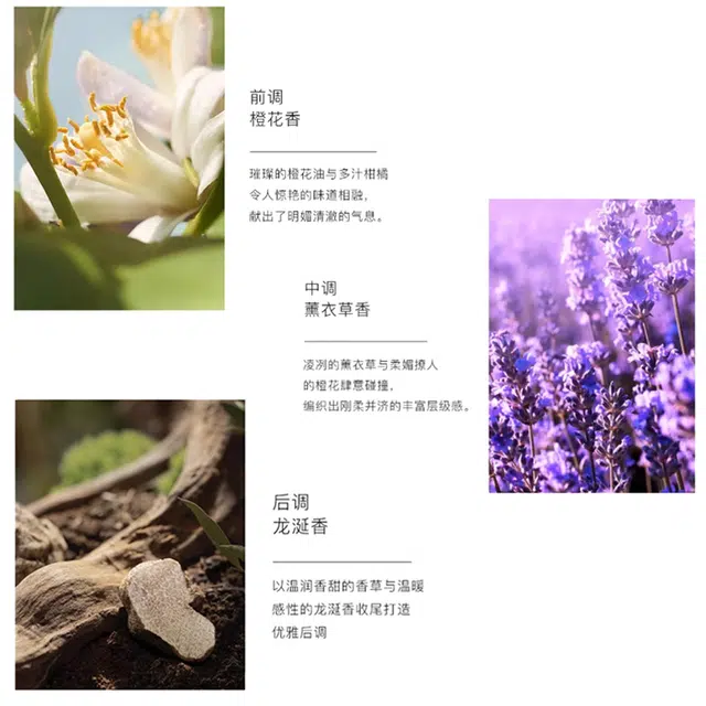 YSL Libre Eau de Toilette