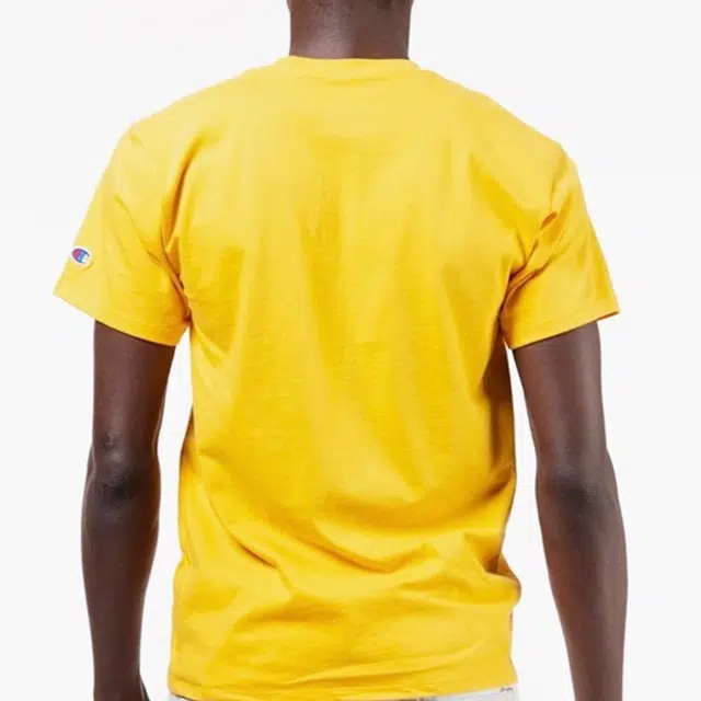 Champion T 2