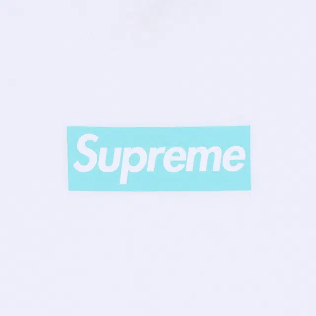 Supreme Week 12 xTIFFANY CO. Box Logo Tee T