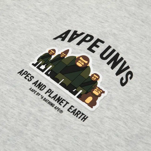 Aape T