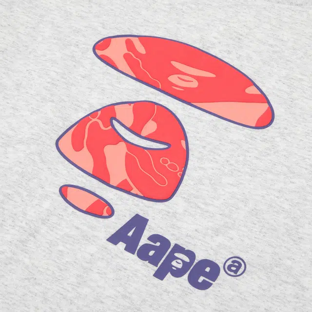 Aape T