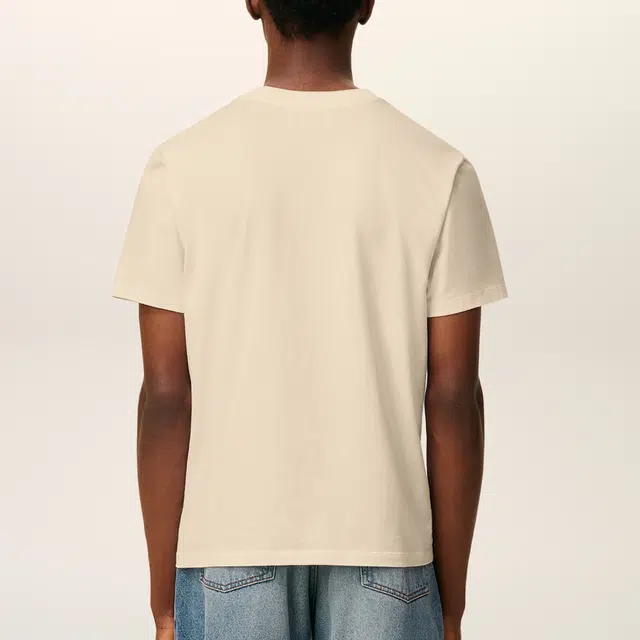 AMIPARIS T