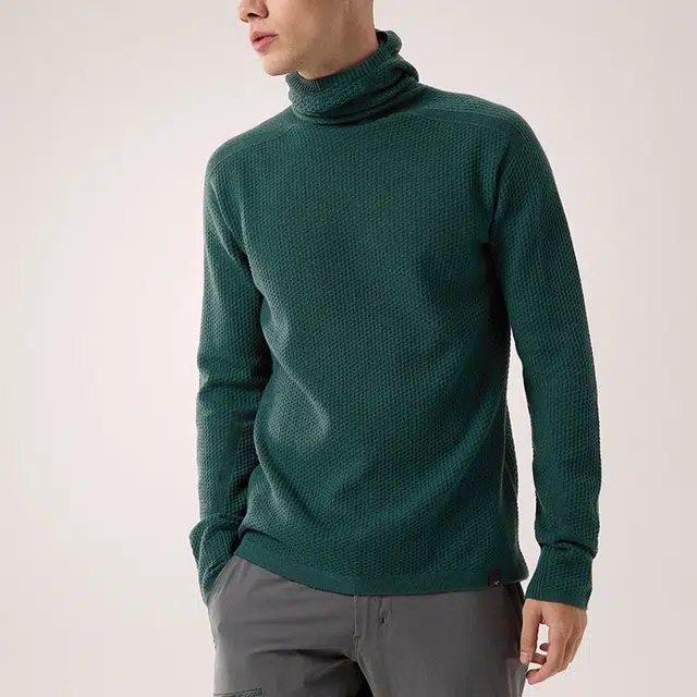 Arcteryx Hallam Merino Wool Hoody