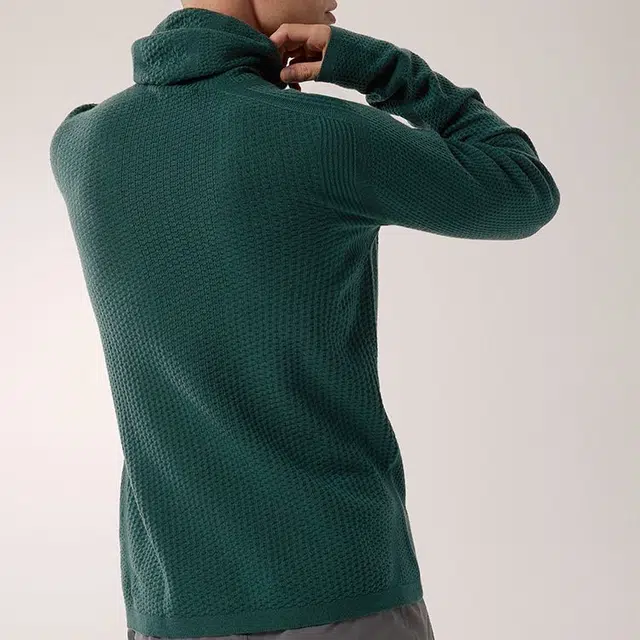 Arcteryx Hallam Merino Wool Hoody