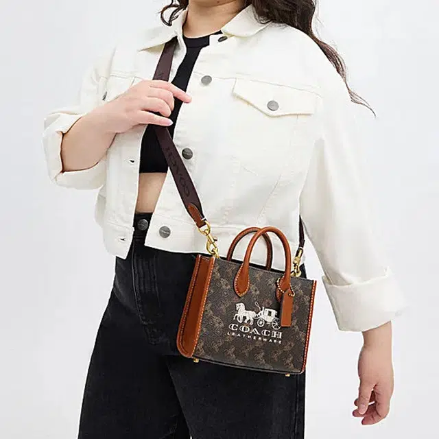 COACH Ace 17 Tote