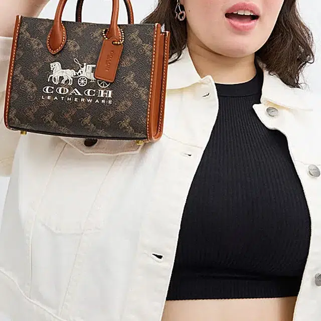 COACH Ace 17 Tote