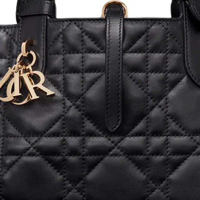 DIOR Toujours