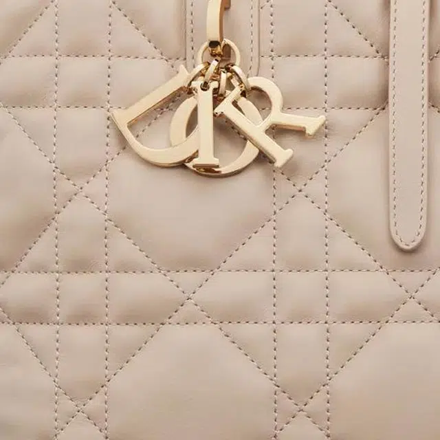 DIOR Toujours Tote