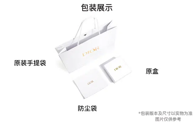 DIOR Toujours CD Lock Tote nano