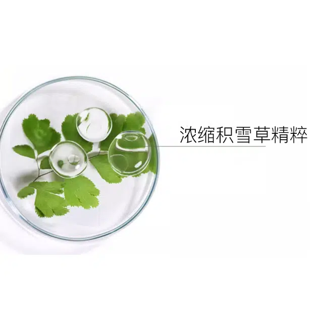 2024 60ml+100ml