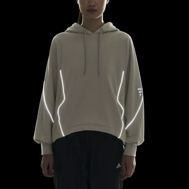 adidas FW24 FUSTL W P SWT3