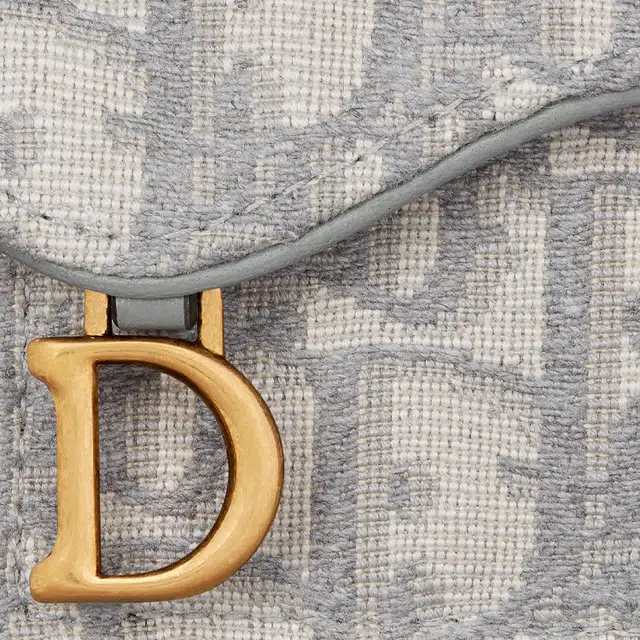 DIOR Saddle Oblique