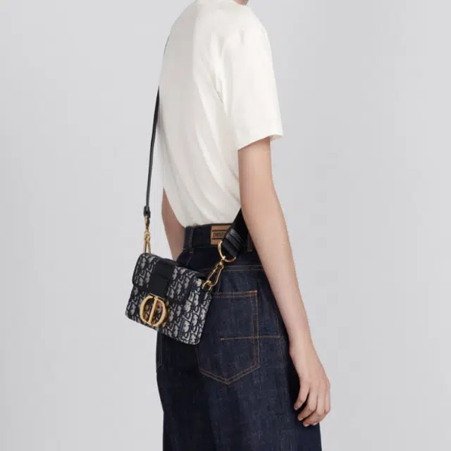 DIOR 30 Montaigne Oblique