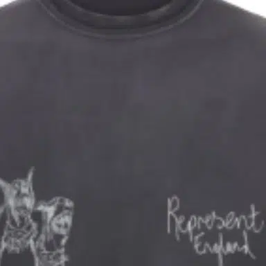 REPRESENT T