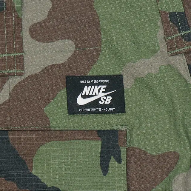 Nike SB Flex FTM