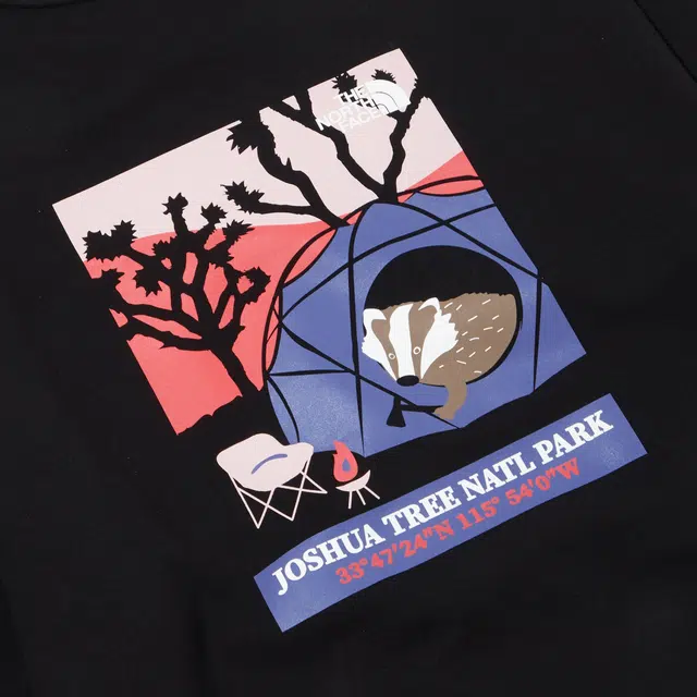 THE NORTH FACE