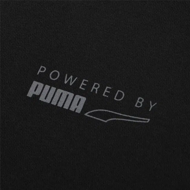 Puma Protec.t Hoodie