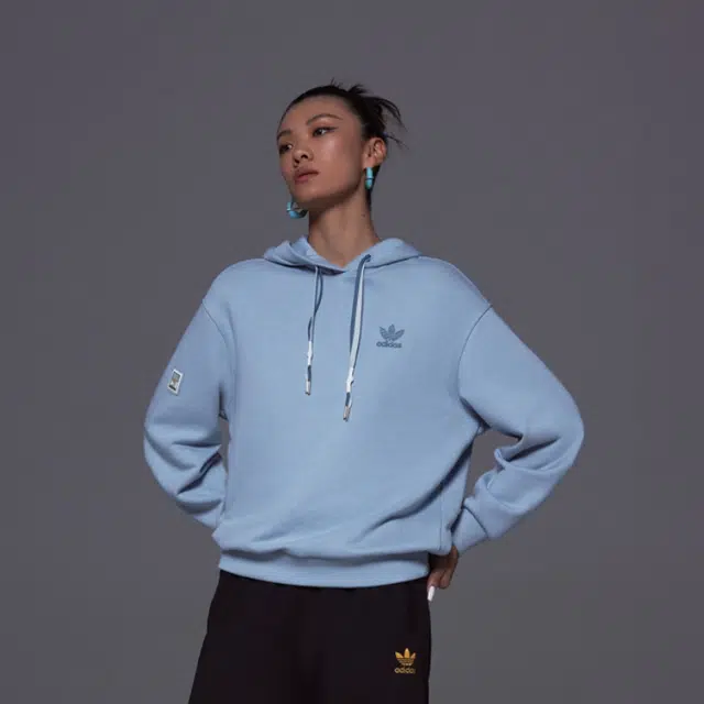 adidas originals Skate Hoodie Logo