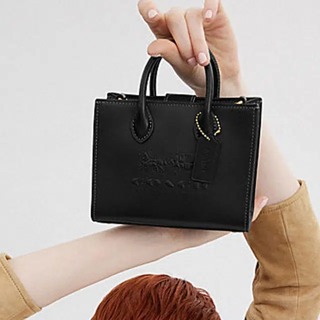 COACH Ace 17 Tote
