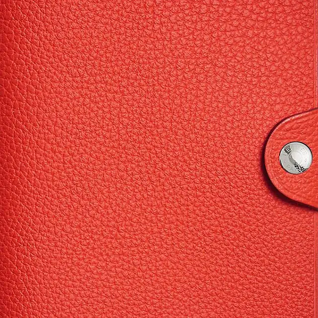 HERMES Ulysse Togo