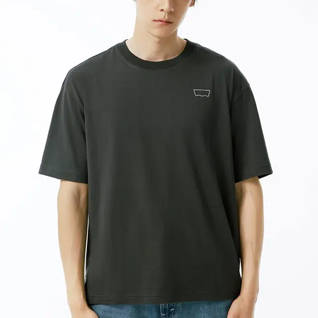 levis T