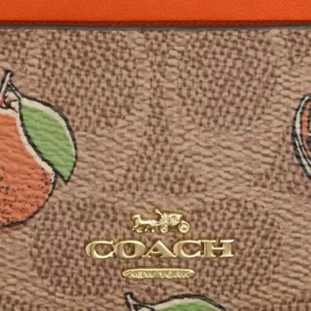 COACH 11