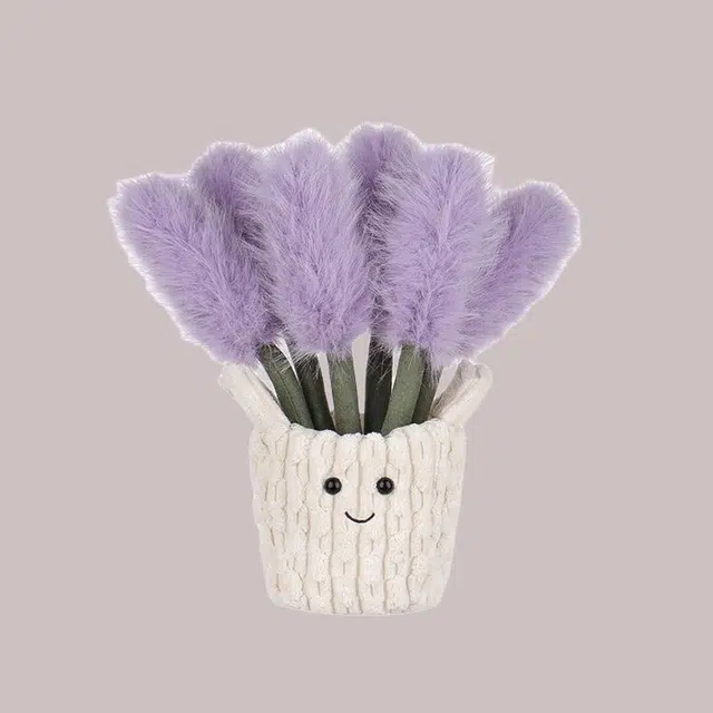 APRICOT LAMB 26cm