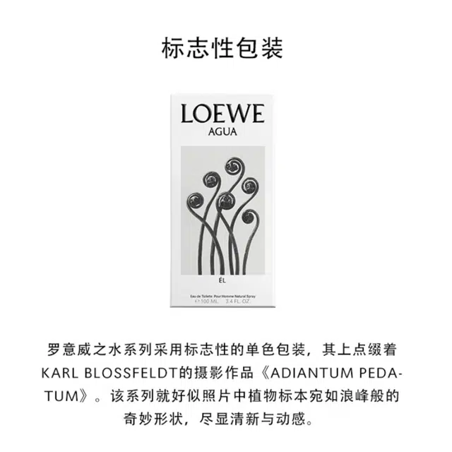 LOEWE EDT 50ml3