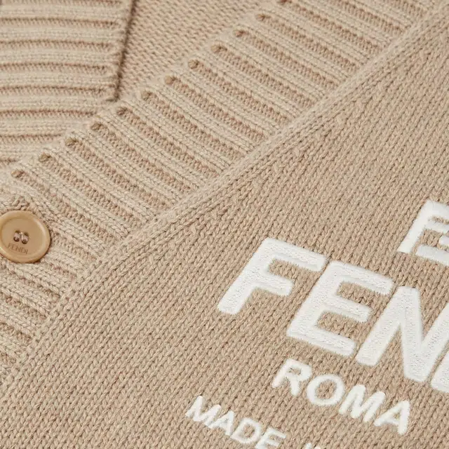 FENDI V