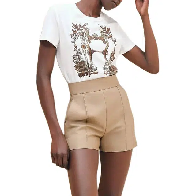 HERMES T