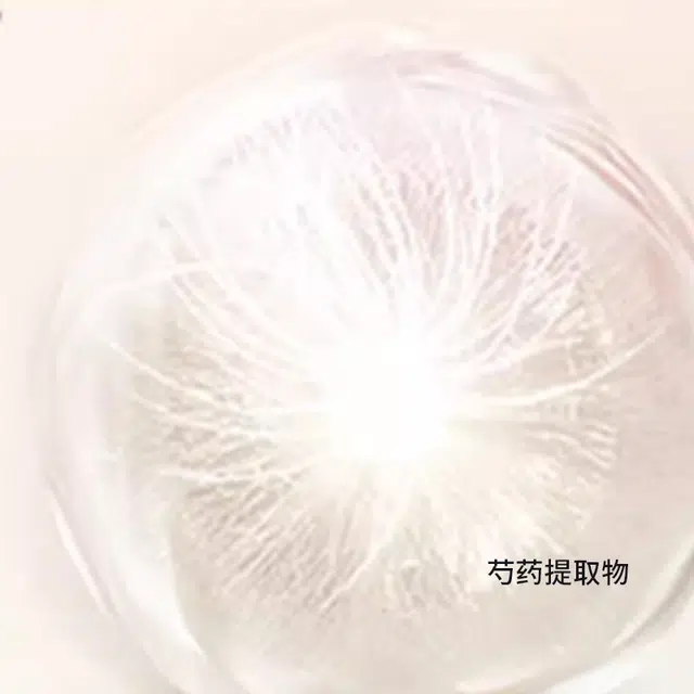 SK-II 2025