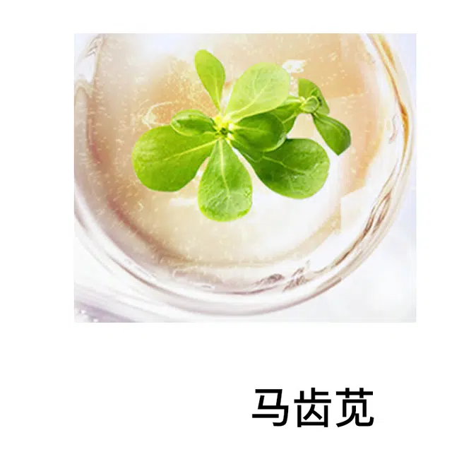 30ml
