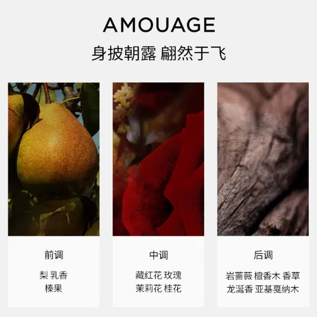 AMOUAGE EDP 7.5ml7.5ml*27.5ml*37.5ml*57.5ml*8