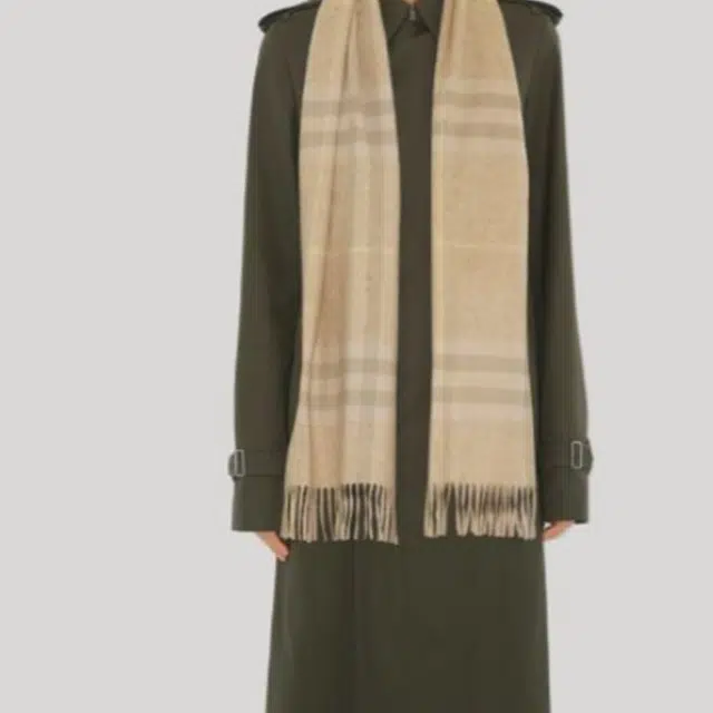 Burberry Logo