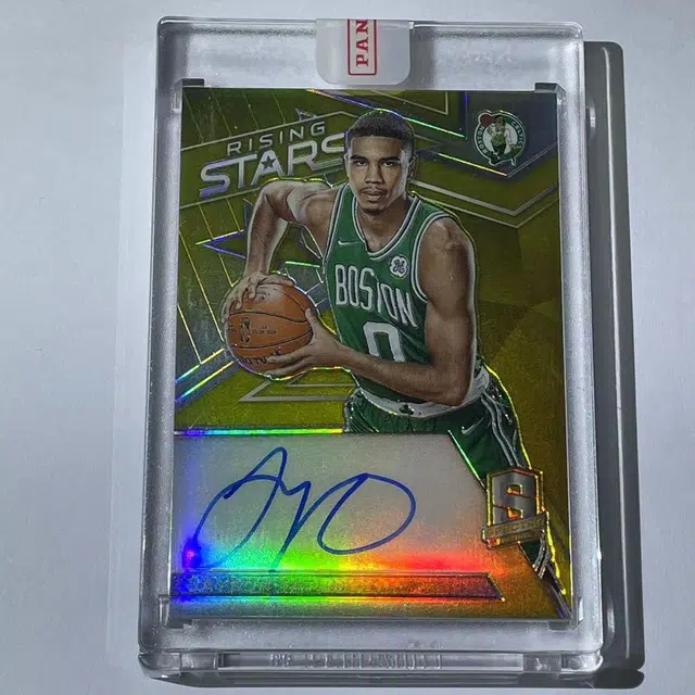 PANINI rising stars gold 0310