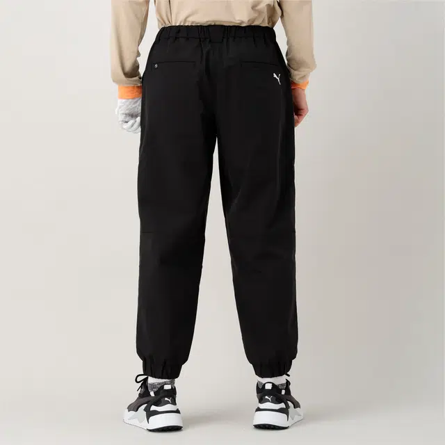 PUMA PC