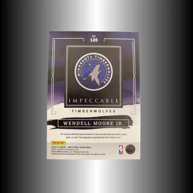 PANINI 2022-23 RC 4099