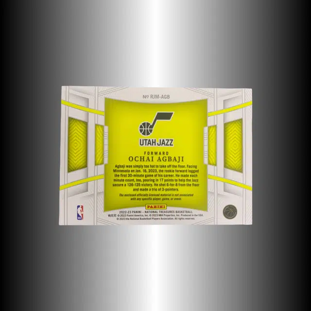 PANINI 2022-23 4399