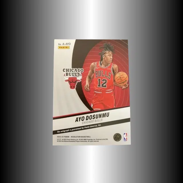 PANINI 2022-23