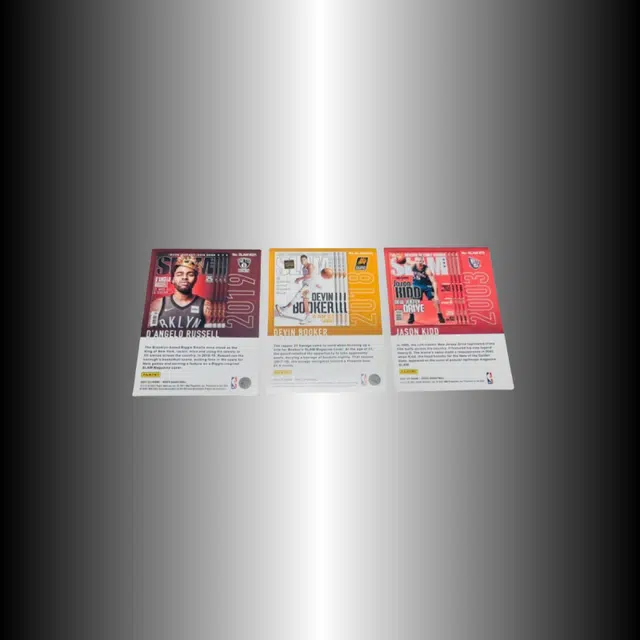PANINI panini 21-22