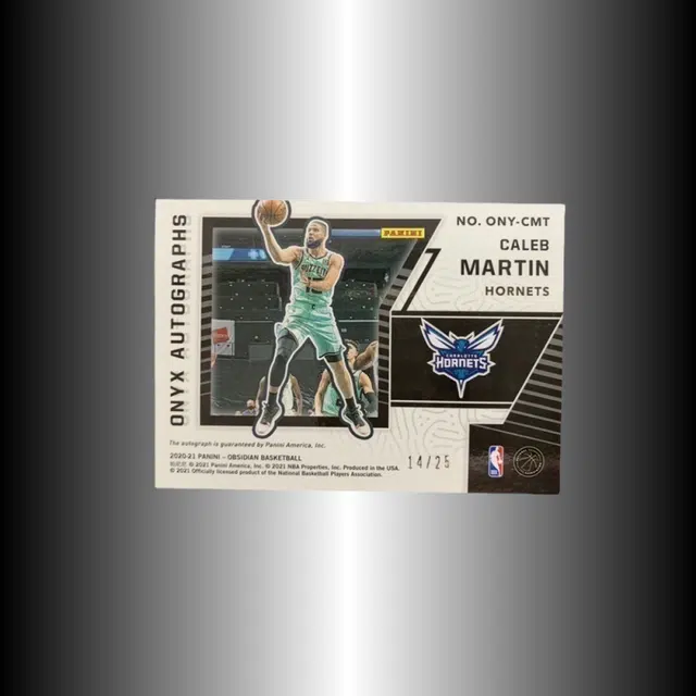 PANINI 2020-21 1425