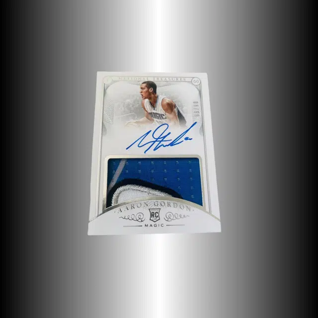 PANINI 14-15 RPA RC Patch
