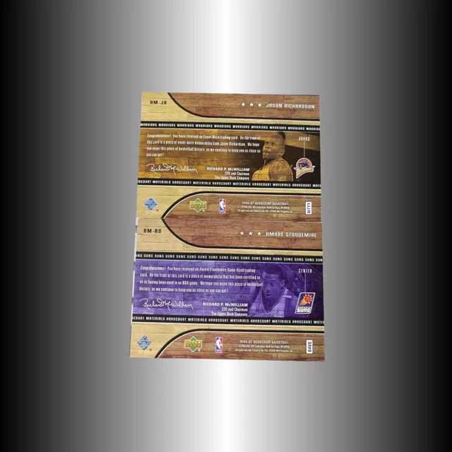 PANINI 2006-07 UD +