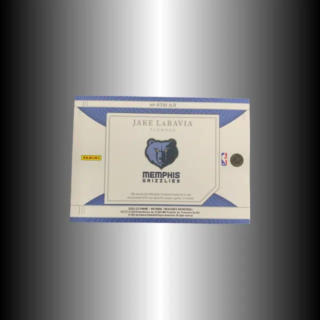 PANINI 2022-23 8599