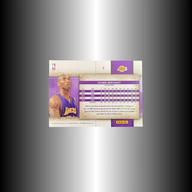 PANINI 2010