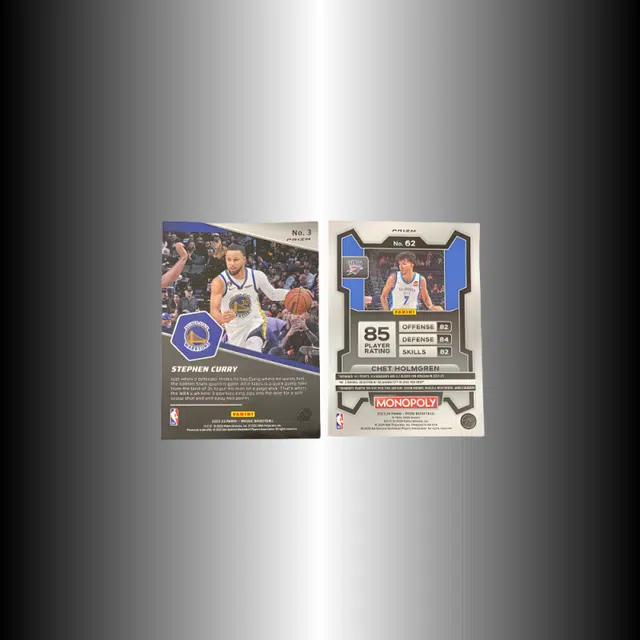 PANINI 2022-23 + 2024