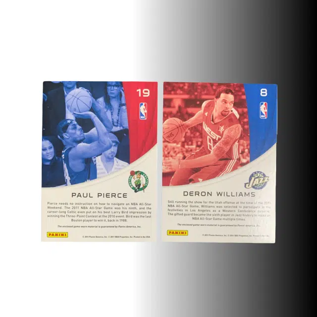 PANINI 2010-11