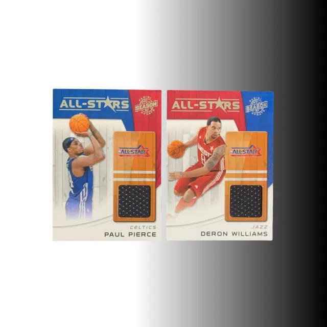 PANINI 2010-11