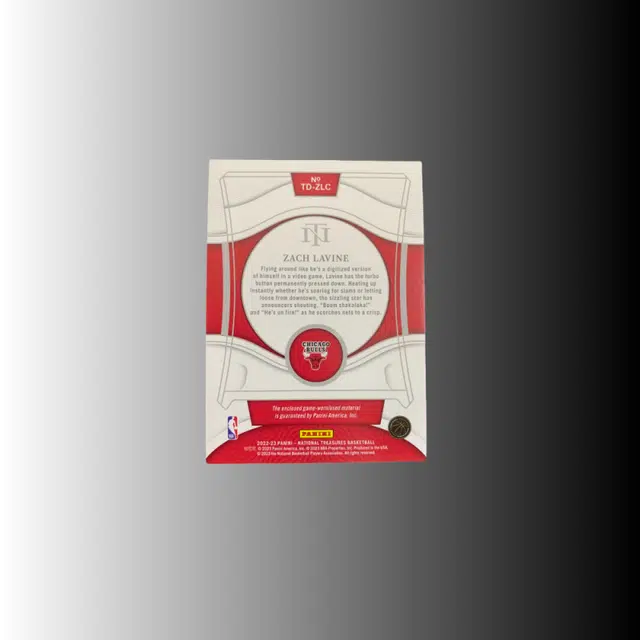 PANINI 2022-23 4599